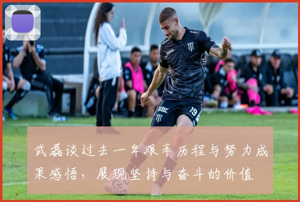 武磊谈过去一年艰辛历程与努力成果感悟，展现坚持与奋斗的价值